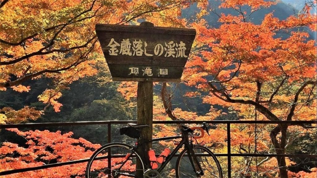 紅葉　ロードバイク　関東　おすすめスポット