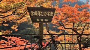 紅葉 ロードバイク 関東 おすすめスポット
