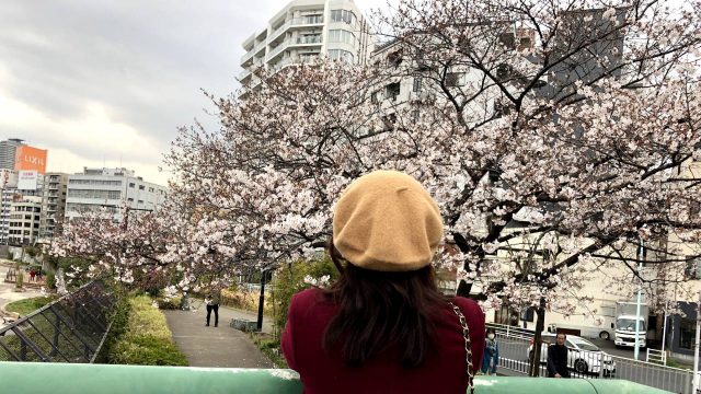 女性の方を対象にレンタル料金が半額となる「レディスデー割引」